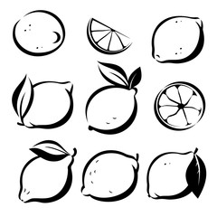 set of lemons and lime vector symbols in sketch style