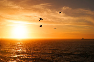 Naklejka na ściany i meble Sunset above the Pacific Ocean from Ocean Beach in San Fancisco California