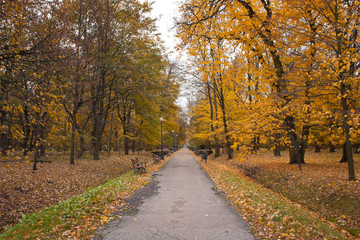 Fototapeta na wymiar Jesień w parku