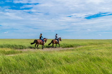 Ausritt in den Salzwiesen Nordsee