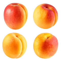 Apricot fruits isolated