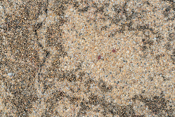 Gravel concrete texture