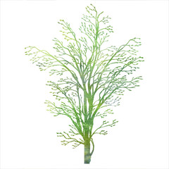 spring tree silhouette