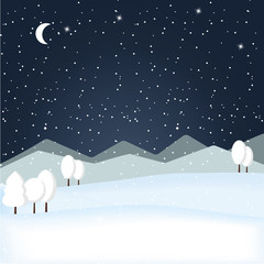 Fototapeta na wymiar Vector of winter night landscape.
