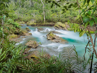 Green water lakes river waterfall with root tree at Tha Pom Klong Song Nam, Krabi, Thailand