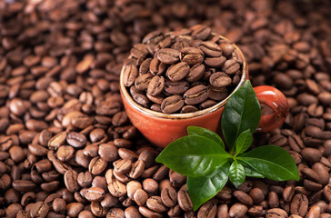 coffee beans and leaves