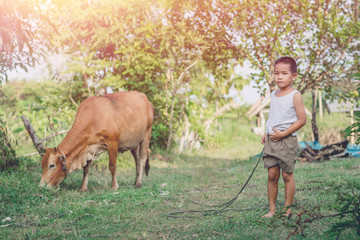Happy kids feeding cows on a farm. Little boy feed cow on a country field in summer. Farmer children play with animals. Child and animal friendship. Family fun in the countryside.