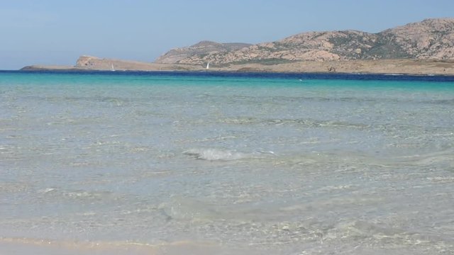 Amazing sardinian beach la pelosa, Stintino, selective focus