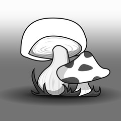 Black and white mushrooms.