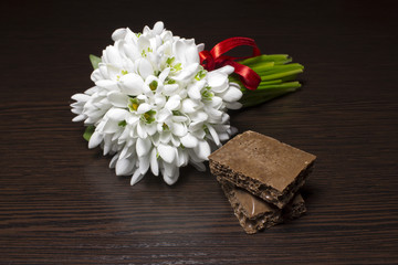 porous chocolate and snowdrops