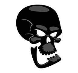 Skull bones human face