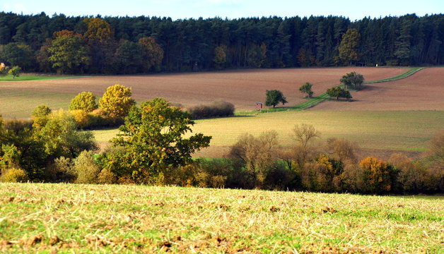 Farbige Herbstlandschaft Hessens