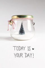 Toady IS Your Day message with Christmas tree - obrazy, fototapety, plakaty