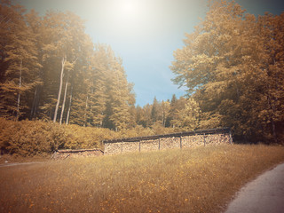 In Autumn.Fantasy fable in Park with Sunrise scene.