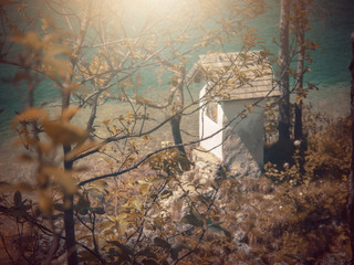  In Autumn.Fantasy fable in Park with Sunrise scene.