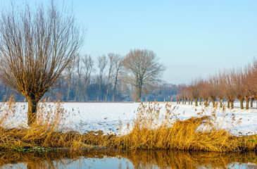 Rural landscape on a sunny day in wintertime