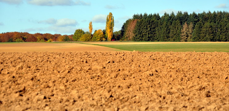 Farbige Herbstlandschaft Hessens