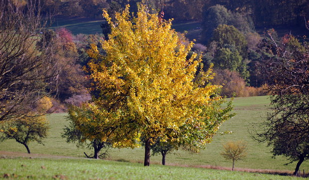 Farbige Herbstlandschaft Hessens