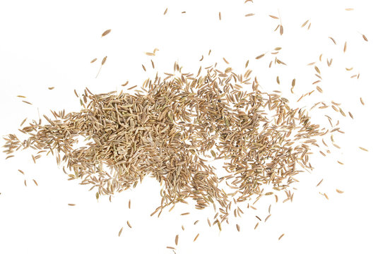 Cumin seeds or caraway isolated on white background