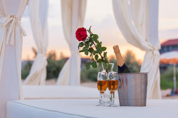 two glasses of wine on a background of roses