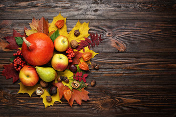 autumn still life, harvested pumpkins with fall leaves and autumn fruit, gifts of autumn, copy space, wooden background, walnuts, maple leaves - autumn composition from top. Free space for text