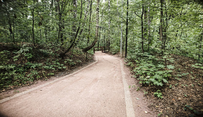 Fototapeta na wymiar Road in forest park
