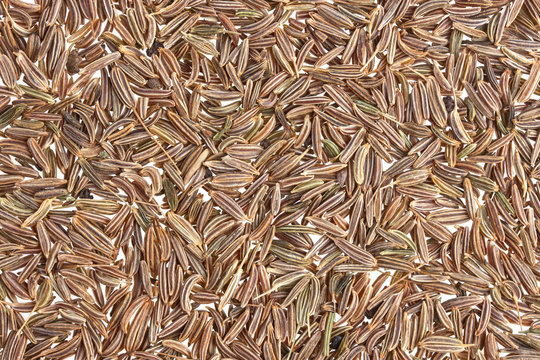 Cumin seeds, caraway texture or background