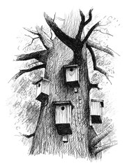 a powerful old tree in a forest where there are a lot of houses for the birds acting their shelter © Mateusz Pyda