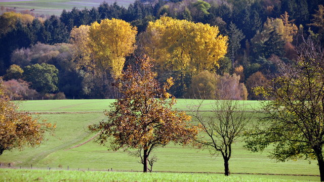 Farbige Herbstlandschaft Hessens
