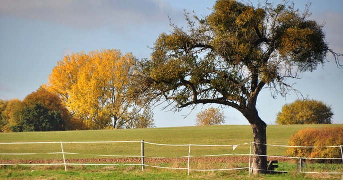 Farbige Herbstlandschaft Hessens