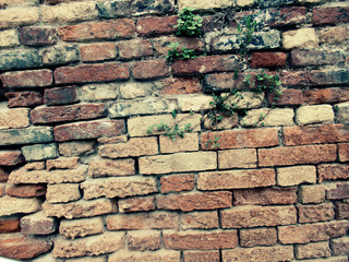 Background of old vintage brick wall