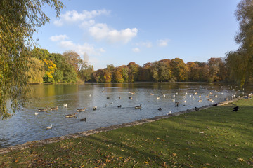 Der englische Garten in München im Herbst