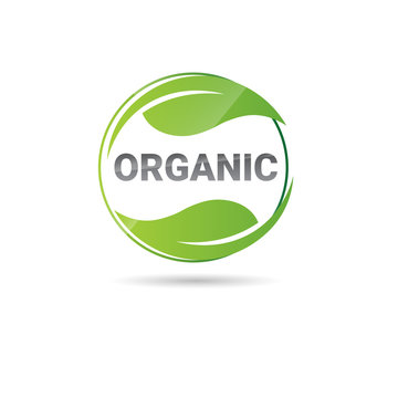 Eco Friendly Organic Natural Product Web Icon Green Logo Flat Vector Illustration