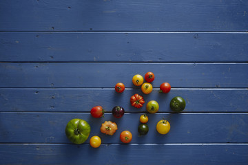 Naklejka na ściany i meble verschieden Tomaten Sorten auf blauem Holztisch