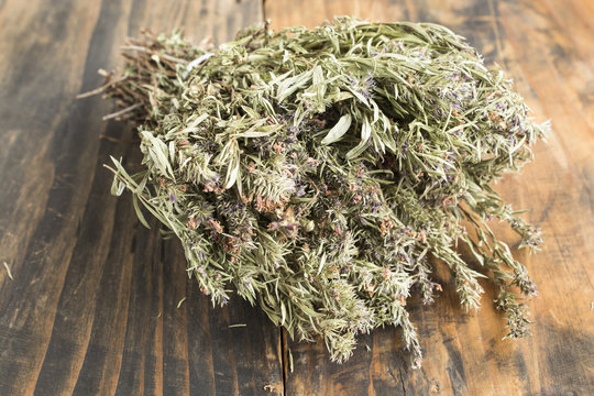 Summer Savory , Satureja Hortensis, On Rustic Wooden Background