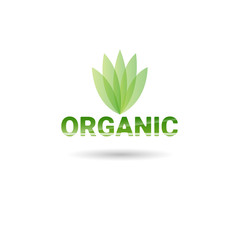 Eco Friendly Organic Natural Product Web Icon Green Logo Flat Vector Illustration