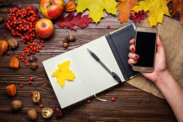 Naklejka na ściany i meble girl holding a phone, notebook, pen and telephone in autumn still life, fall leaves, gifts of autumn, wooden background, walnuts, maple leaves - autumn composition from top. Colorful autumn leaves