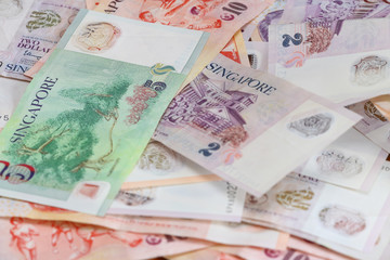 Singapore money / dollars.
