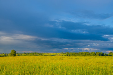 blue clouds on a green glade