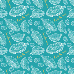 sketch seamless cardamom