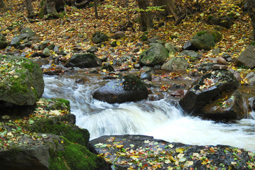 Natur
