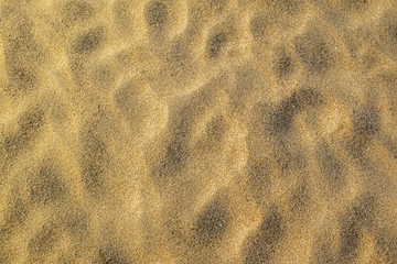 Golden sand texture at the beach