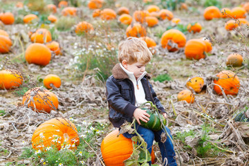 Little toddler kid boy with big pumpkin in garden