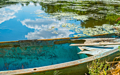 Green duckweed slime and boat on the swamp