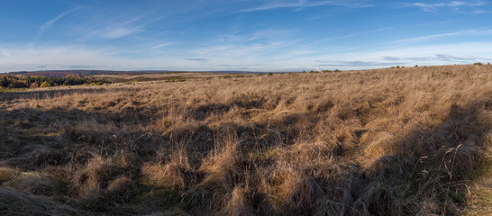 Nationalpark Eifel Panorama