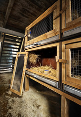 Obraz premium Several Rabbit cages on the farm