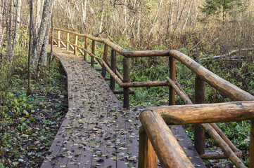 wooden bridge in the forest and park