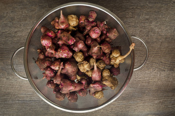 Fresh natural Jerusalem artichokes or sunchokes in a metal colander with a brown wood background