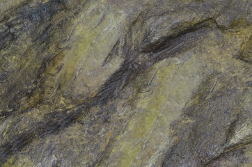 old spotty stained concrete wall texture background. black, green color