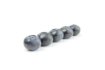 Blueberries in row on the white background